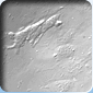 Phagocytosis of nanodiamonds by lung epithelial cells